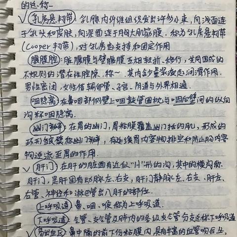 百度试题小程序，智能学习的新时代