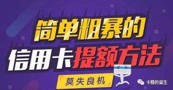 掌握分期乐购物额度套现技巧，轻松实现资金变现！