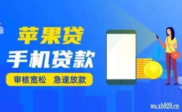 揭秘苹果专项额度分期提现实际方法，6个步骤助您轻松套出款项！