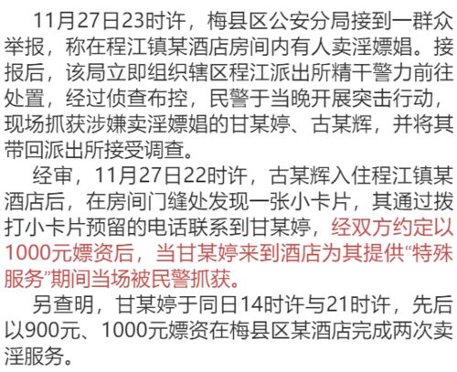 嫖娼记录一住酒店就查，违法犯罪问题的探讨