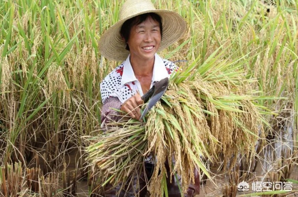 回农村靠什么致富？