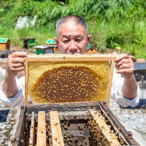 夏天什么项目致富快？