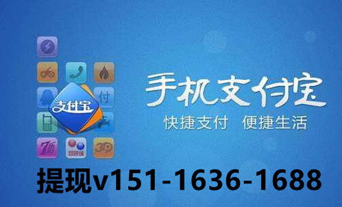 诚意赊额度提现揭秘，2024多角度分析套现独家技巧，让你轻松应对各种情况