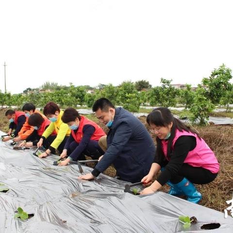 梅州家居装修服务加盟，打造梦想家园，共享成功喜悦