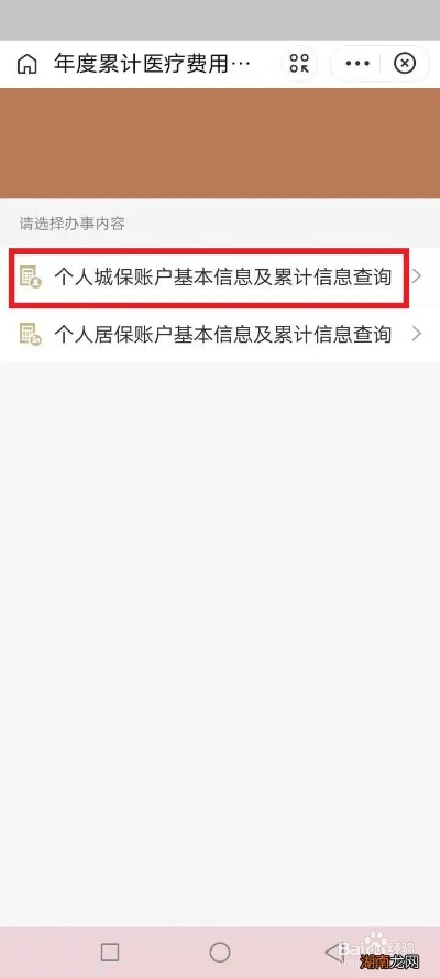 如何查询自己的医保信息