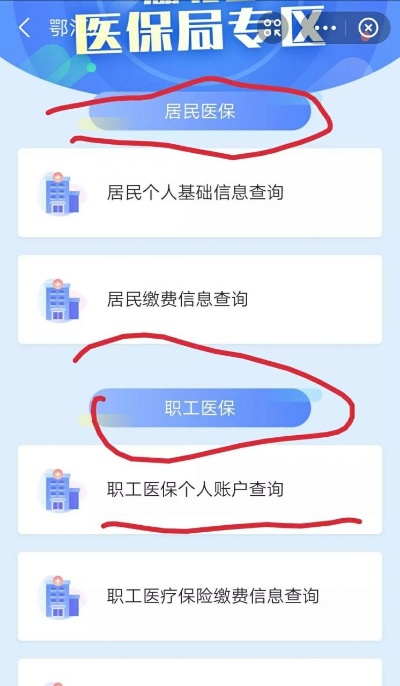 如何查询自己的医保信息