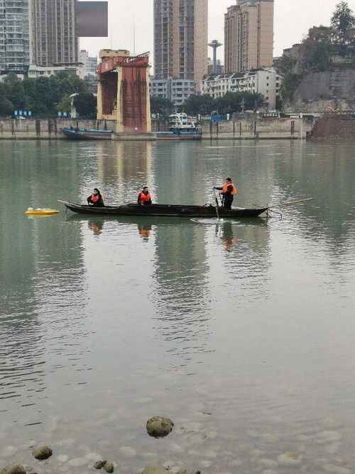 水文监测动态梧州，守护江河安全