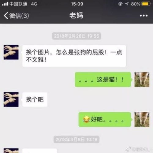 困刚网如何查看聊天记录——详细步骤解析