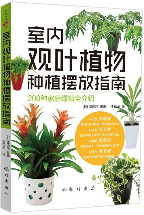 种植什么致富商机？这五种作物让你轻松赚大钱！