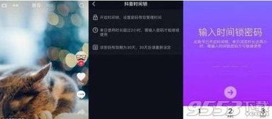 抖音月付套出来秒回技巧，违法犯罪的警示