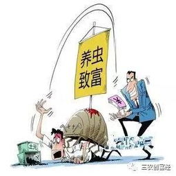 穷人养什么能致富？