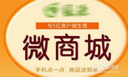 网上创业做什么致富？