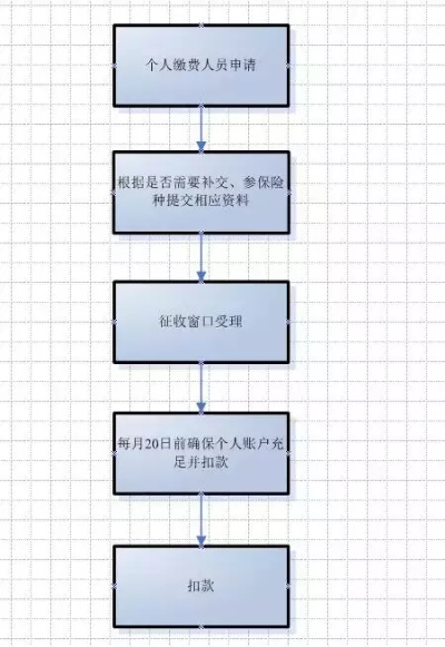 医保补交指南，步骤、条件与注意事项