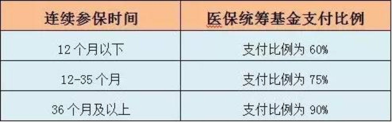 医保补交指南，步骤、条件与注意事项