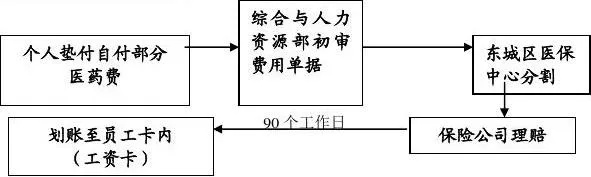 医保补交指南，步骤、条件与注意事项