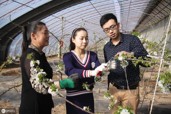 现在什么是致富帮手？