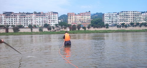 上海水文监测，守护城市的水安全