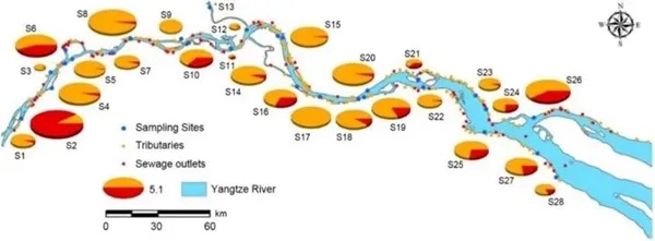 水文监测断面地图，守护水资源的安全与可持续发展