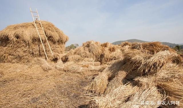 稻草能做什么致富？