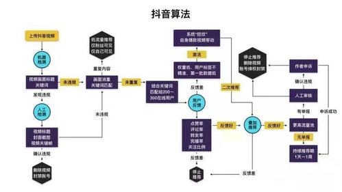 抖音自媒体运营全攻略，如何通过短视频赚钱？