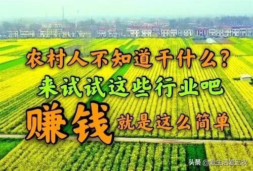 干什么最致富？