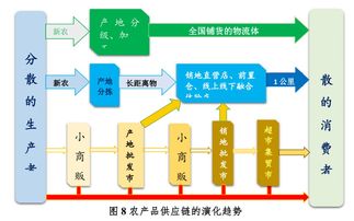 男士服装电商平台，拼多多的关键词优化策略与实践