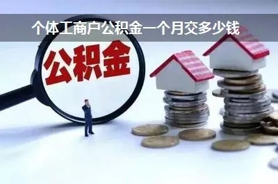 个体工商户如何缴纳公积金，一份详细的指南