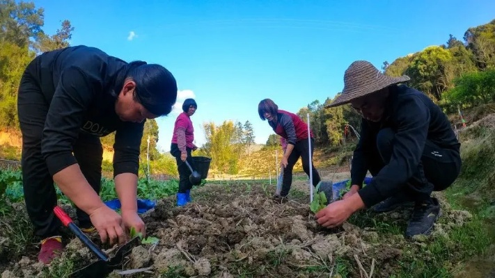 帮助农民致富叫什么，乡村振兴的新动力