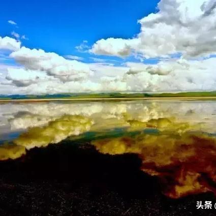 唐山水文鸟类监测，守护湿地精灵的家园