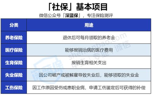 个人怎么交职工医保