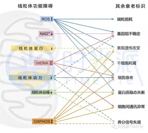 广西长寿区，发掘商业机会，实现财富增长的有效途径