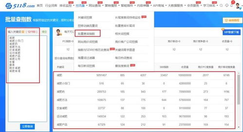 掌握关键词排名优化工具，提升网站流量与搜索引擎排名