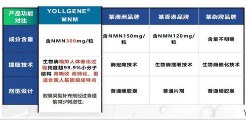 深度剖析河南网络五金厂家价格的奥秘与选择策略