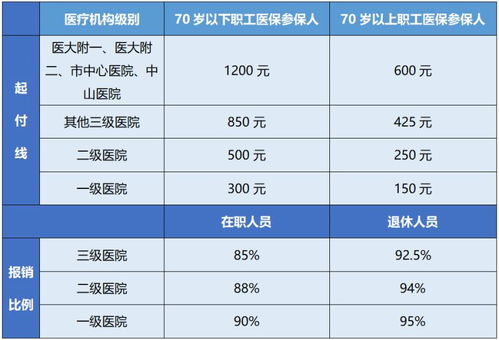 重庆职工医保报销指南