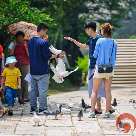 同城旅行提钱购额度怎么提现？小编为你详细解答！