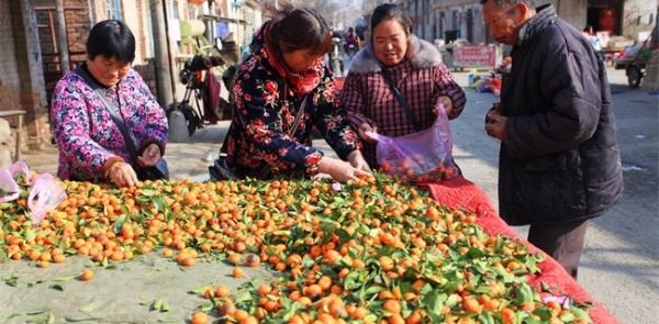 来年过卖什么致富？