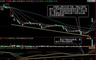 股市致富秘籍，掌握核心要素，轻松实现财富自由