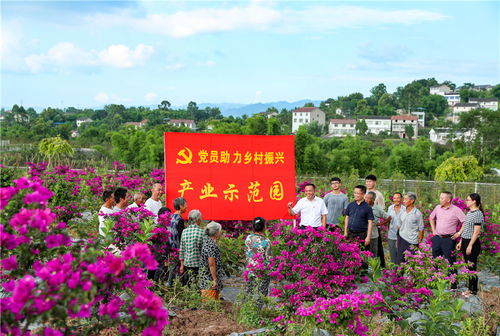 山上养什么致富花草？