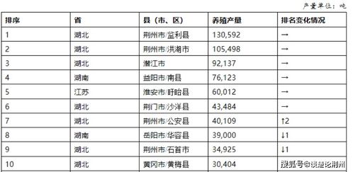 潜江市品牌关键词优化排名，打造地区特色，提升知名度