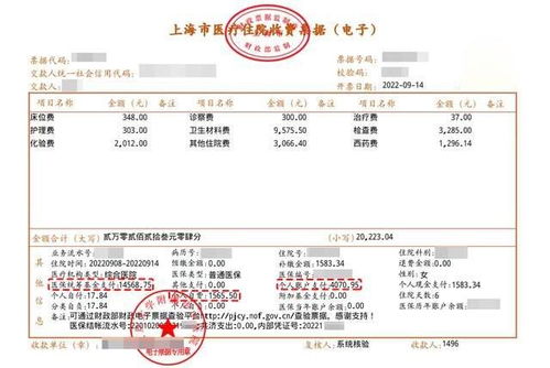 医保报销详解，如何申请、审核与领取报销款？