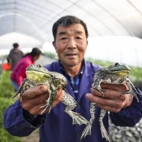 西安加盟牛蛙店面装修指南