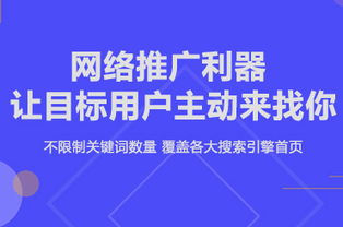 贵州百度关键词优化系统，提升企业网络营销效果的关键利器