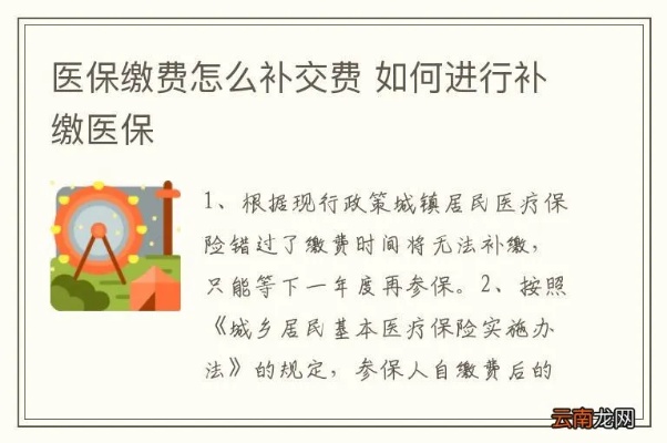 补交医保的详细步骤及注意事项