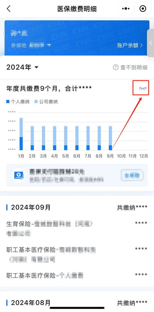 如何查看医保明细