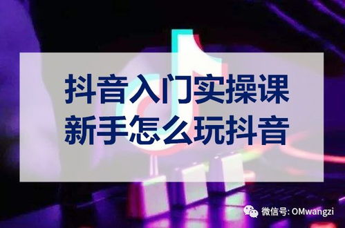 林州市抖音月付套出来公司