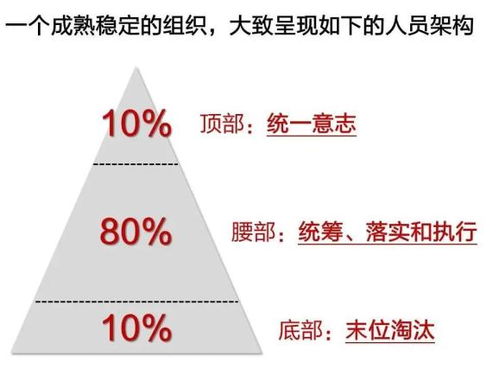 制衣厂的商业策略，如何选择最佳业务模式以增加收益