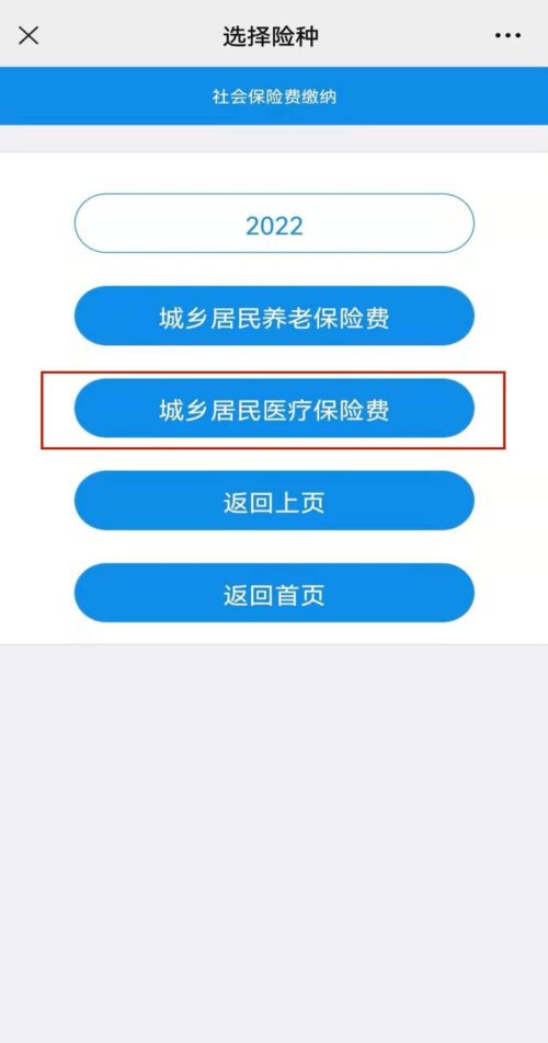 学生医保怎么交？详解缴费流程与注意事项