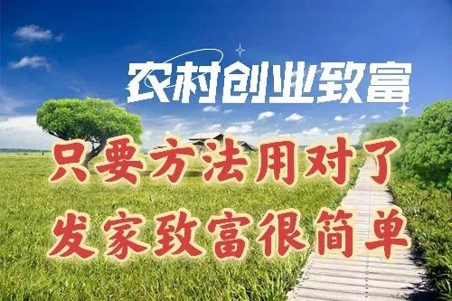 全面致富，一个未来的梦想