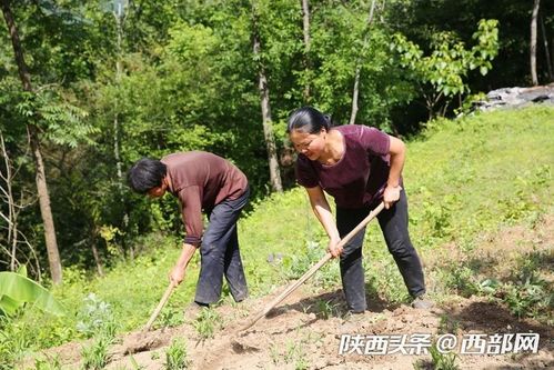 在家里养什么致富？