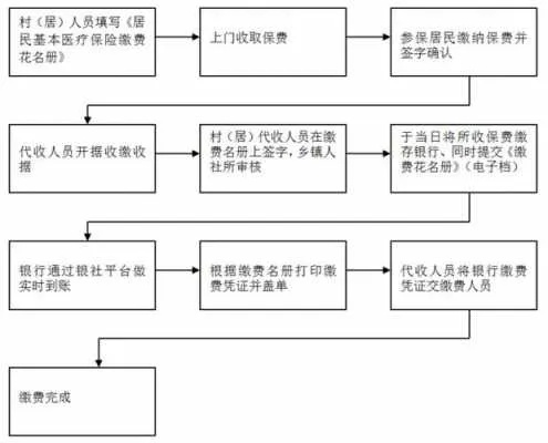 单位医保怎么交？详解缴费流程与注意事项